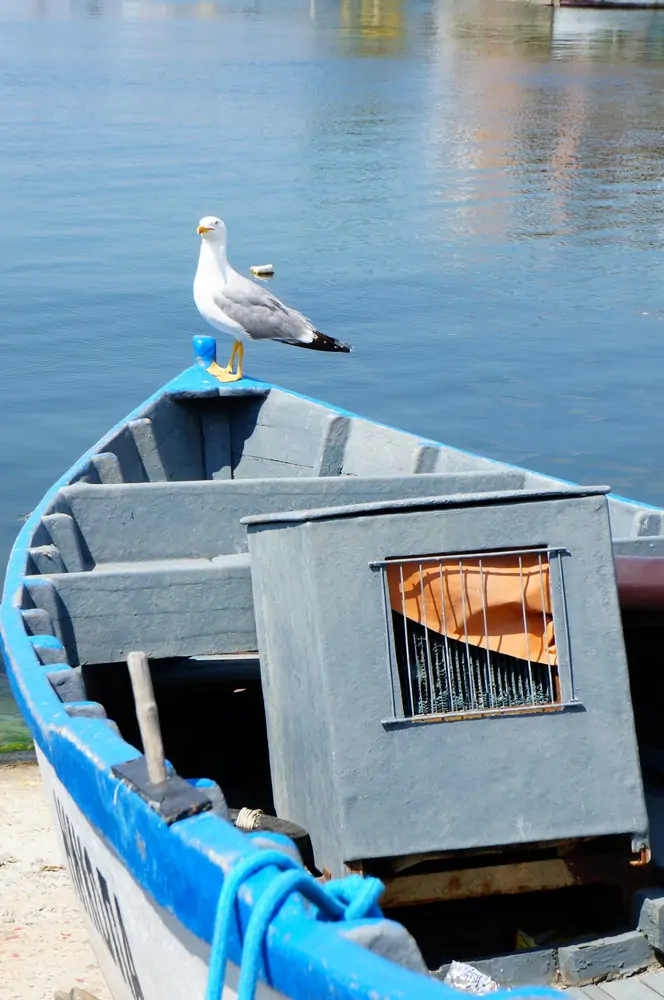 Bateau